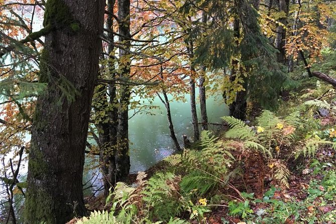 1 Day 4x4 Tour in Carpathian Mountains - What is included, what is not, and what you should pack