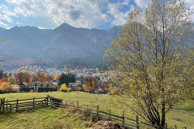 1 Day ATV Tour in Carpathian Mountains - Peles Castle for the Royal Contrast You Will Appreciate