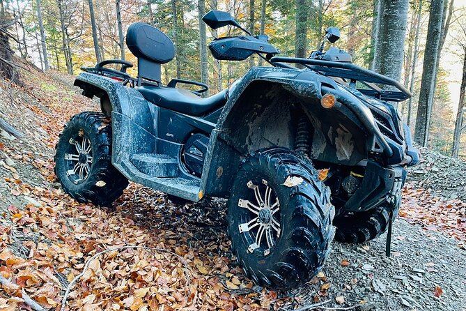 1 Day ATV Tour in Carpathian Mountains - What You Pay For: Real Value Breakdown of the $228.29 Price