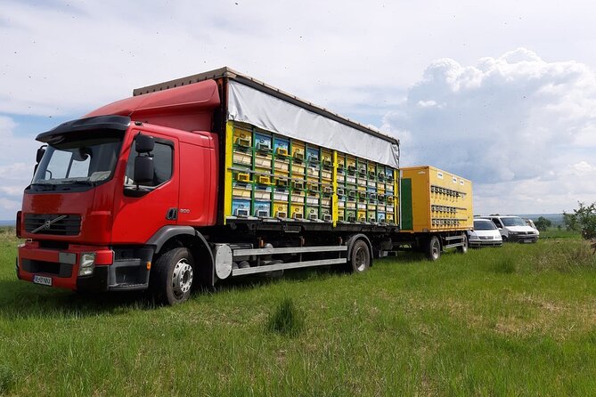 10 hours Private Apiary Tour in Romania - From Bucharest - Inside The Apiary: What Your Guide Shows You Besides The Basics