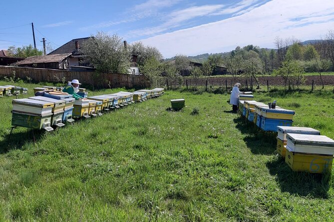 10 hours Private Apiary Tour in Romania - From Bucharest - Lunch With A Honey-Based Dessert: Comfort Food With Local Logic