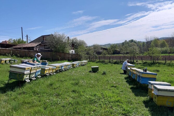 10 hours Private Apiary Tour in Romania - From Bucharest - Curtea de Argeș Monastery: A Quick Cultural Reset On The Way