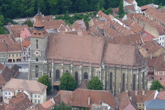 2-Day Small-Group Tour to Dracula's Castle, Rasnov Fortress, Peles Castle, Sighisoara and Libearty Brown Bear Sanctuary with Overnight in Brasov - The odd but useful part: why you end up at Libearty again