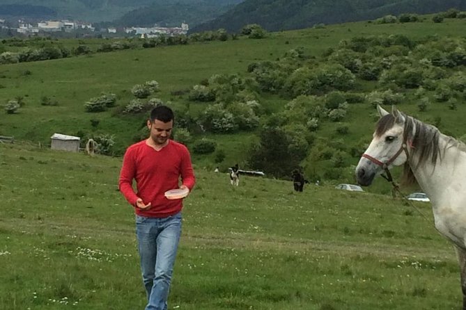 2 Days Private Tour Transfagarasan Road & Sibiu from Bucharest - Practical tips before you go
