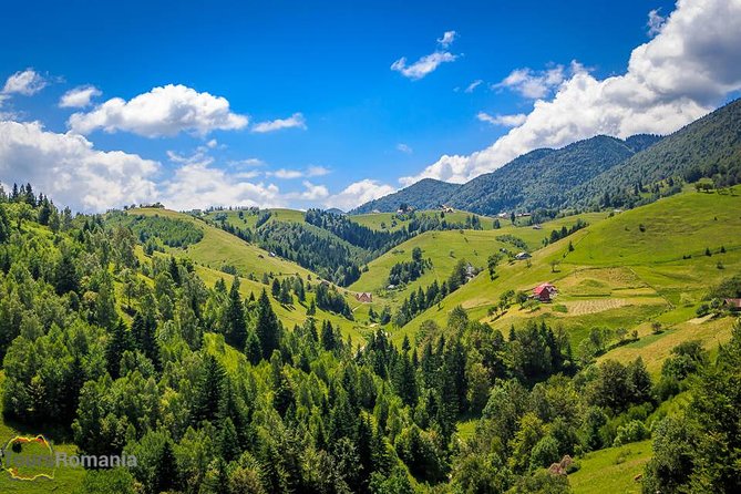 3-Day Tour from Bucharest: Transylvania Villages and Medieval Towns - Entering Peles Castle: When Romania’s German-royal Fantasy Feels Real