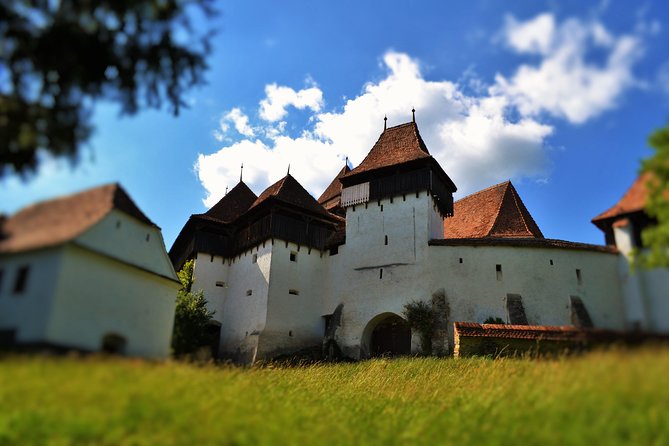 4-Day Private Tour in Transylvania from Bucharest - Day 1 in Transylvania: Bran Castle myths, Peles Castle wow factor, Brașov old town