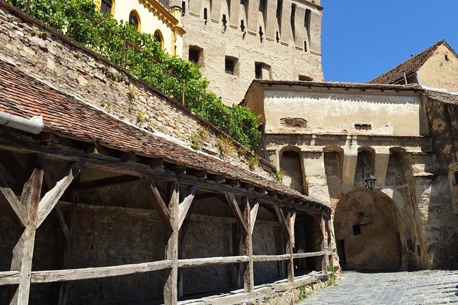 4-Day Private Tour in Transylvania from Bucharest - Your guide experience: from Andreea and Mihai to Nicu and Stephan