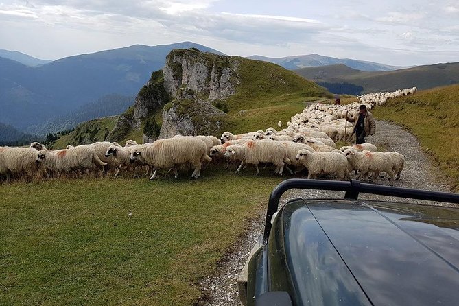 4x4 Driving Experience at Flying Altitudes - 7 Days - Day 4: Transfăgărășan, Balea Lake at 2,040 m, and a night in Voineasa