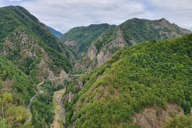 6 Days Private Tour in Romania Spectacular Places from Bucharest - Day 4: Densus Church’s ancient layers and Huniade Castle’s Gothic drama