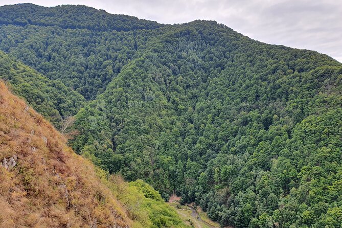 6 Days Private Tour in Romania Spectacular Places from Bucharest - Day 6: Transfagarasan Highway, Vidraru Dam, and Sibiu’s Renaissance squares