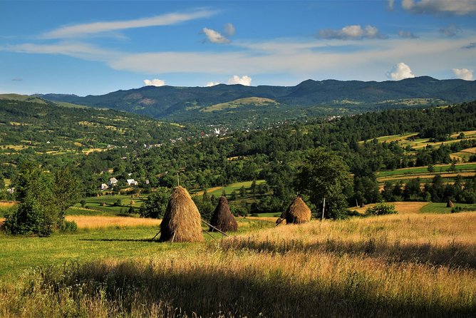 A Journey Back in Time: Countryside from Transylvania and Maramures - 15 Days - Bran Castle and Rasnov Citadel, plus the bear sanctuary day