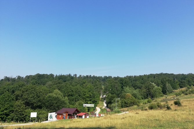 Bear Sanctuary and Dracula's Castle, 1-day Private Tour - Libearty Bear Sanctuary Zărnești: rescue stories and real walking