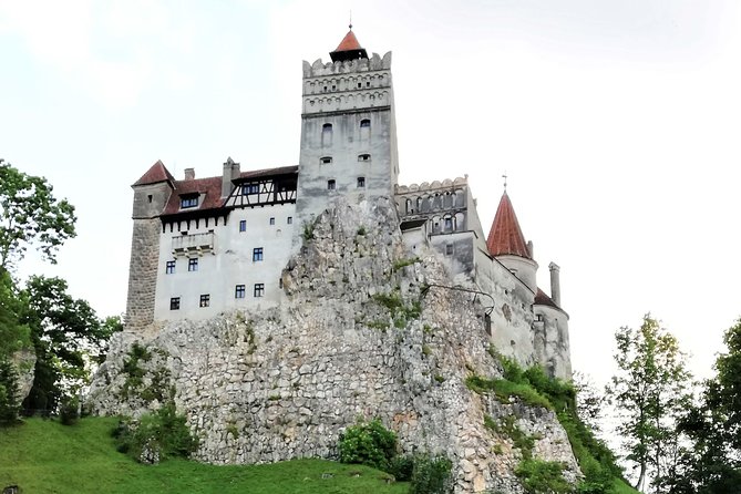 Bear Sanctuary and Dracula's Castle, 1-day Private Tour - Transportation and pacing: how the private car changes the day