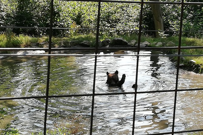 Bear Sanctuary and Dracula's Castle, 1-day Private Tour - Cost and value: what $276.04 really buys you