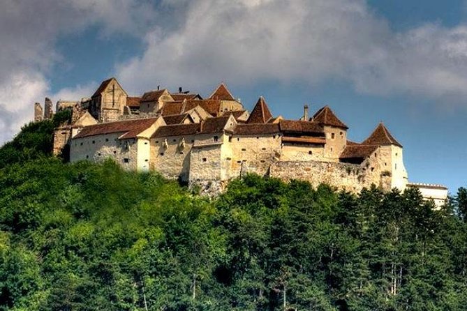 Bear Sanctuary & Rasnov Fortress - Private day tour from Bucharest - Who this private tour fits best