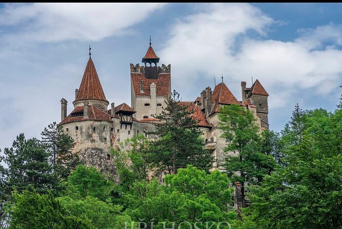 Bears Sanctuary, Dracula's Castle and Brașov City - Private Tour - Bears, a Gothic castle, and Brasov in one packed day