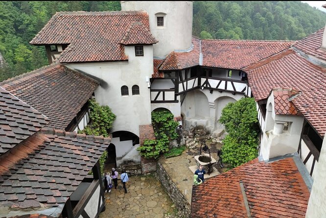 Bears Sanctuary, Dracula's Castle and Brașov City - Private Tour - Libearty Bear Sanctuary in Zarnesti: Rehabilitation you can actually see