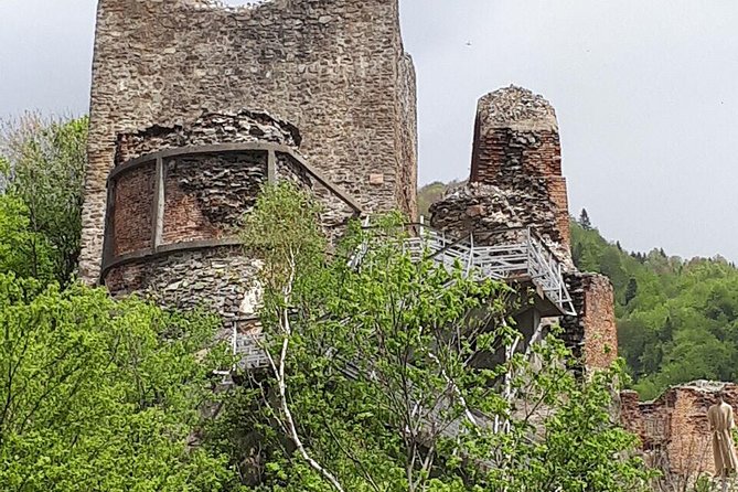 Bears Sanctuary, Dracula's Castle, Brasov Day Trip Private Tour from Bucharest - Private Guide and Flexible Timing, the Real Upgrade Over Big Buses
