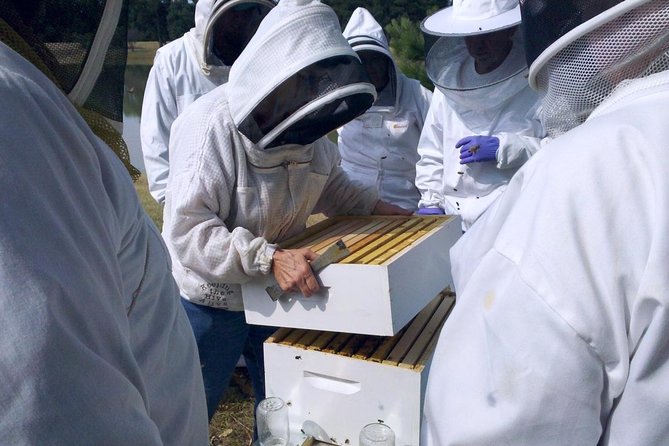 Beekeeping Day Trip| Private Guided Tour from Bucharest - Key highlights worth centering your day
