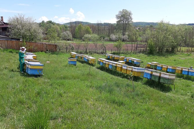 Beekeeping Day Trip| Private Guided Tour from Bucharest - Nicolas and the road trip factor (yes, it matters)