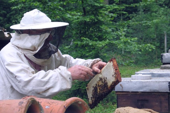 Beekeeping Day Trip| Private Guided Tour from Bucharest - Harvesting demonstration: learning what a hive does, not just how it looks