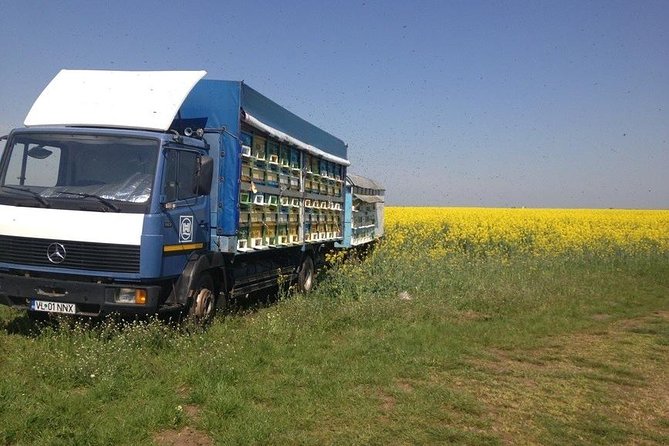 Beekeeping Day Trip| Private Guided Tour from Bucharest - Traditional Romanian lunch from ecological sources