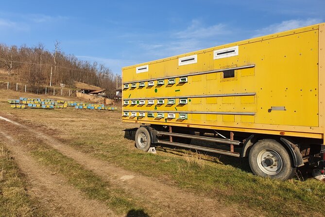 Beekeeping Day Trip| Private Guided Tour from Bucharest - Honeybee products for dessert: more than a taste test