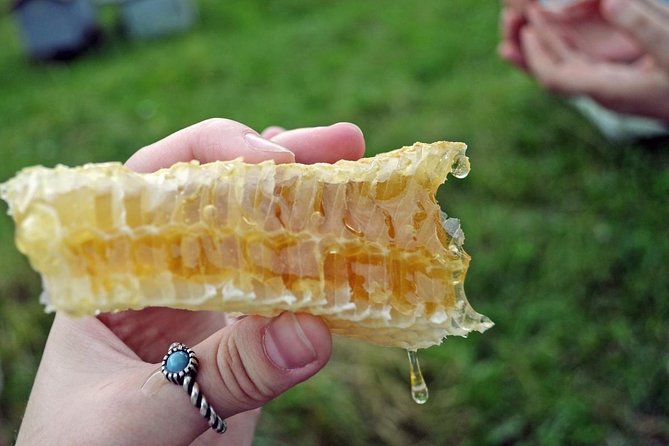 Beekeeping Day Trip| Private Guided Tour from Bucharest - Stop 1 in Valcea County: meeting the setting before the lesson