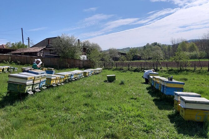 Bees Adventure in Romania - Private Day Trip from Bucharest - Bee Behavior Lesson: What You Learn and Why It Matters