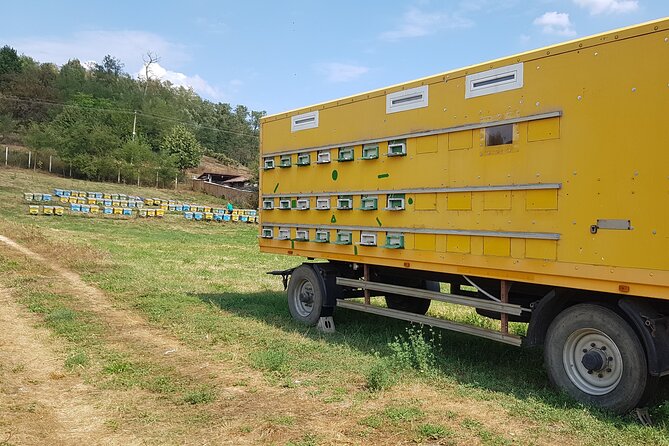 Bees Adventure in Romania - Private Day Trip from Bucharest - The Harvesting Demonstration and How a Beehive Works