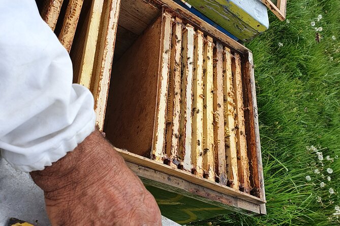 Bees Adventure in Romania - Private Day Trip from Bucharest - The 3-Hour Countryside Ride to Valcea County (Plus Easy Photo Stops)