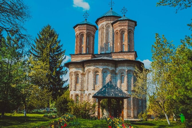 Bison Sanctuary, Vlad the Impaler Princely Court & Dracula Grave - Getting to Neagra, Târgoviște, and Snagov Without Stress
