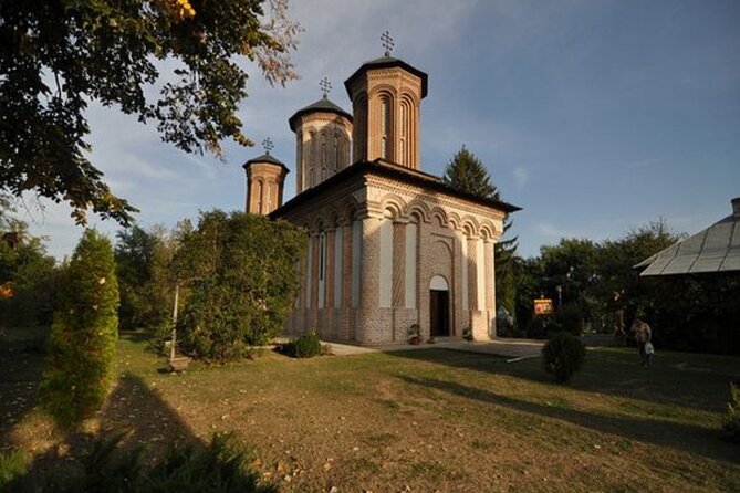 Bison Sanctuary, Vlad the Impaler Princely Court & Dracula Grave - Price and Logistics: What You Really Pay for a Full 9 Hours