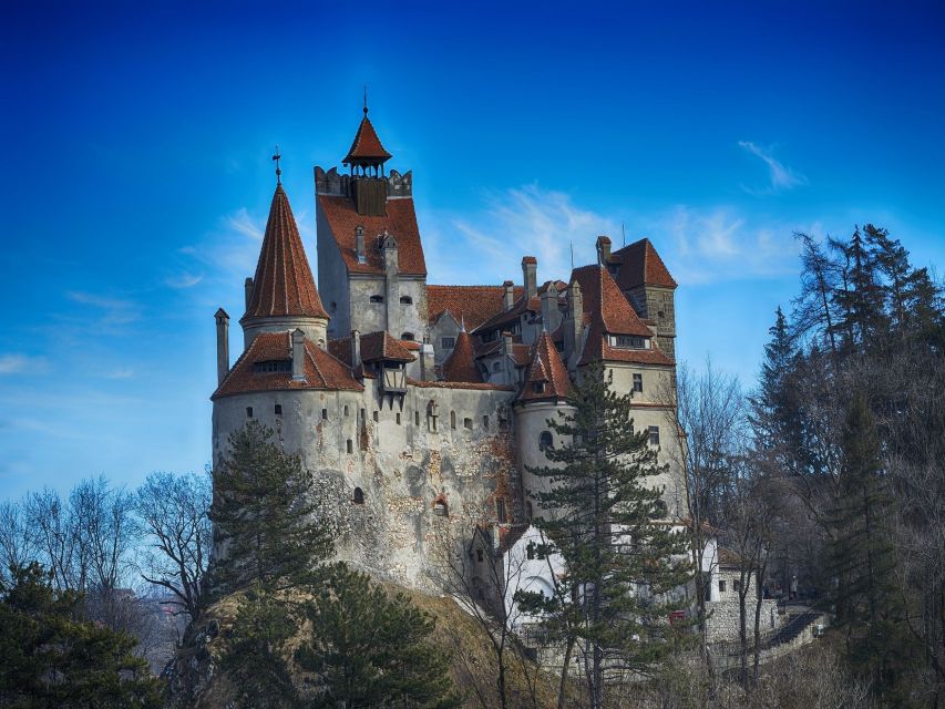 Bran: Guided Castle Tour - The Royal Rooms You Will Actually See