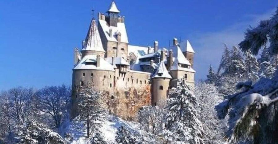 Brasov: Bran, Peles and Cantacuzino Castles Day Tour - Bran Castle and the Vlad Legends: When a Guide Keeps Myths in Focus