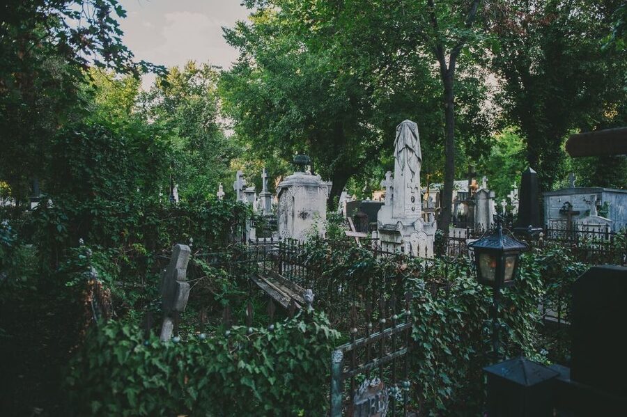 Bucharest: 3-Hour Dark History Tour with a Local - The 1970s case file: the Vampire of Bucharest