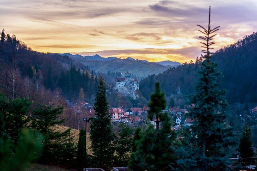 Bucharest: Bran Castle and Bear Sanctuary Small-Group Tour - Liberty Bear Sanctuary: more than a photo stop in the woods