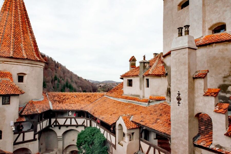 Bucharest: Bran Castle and Bear Sanctuary Small-Group Tour - Price and value: what $145 buys you, and what you pay separately