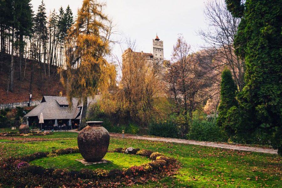 Bucharest: Bran Castle and Bear Sanctuary Small-Group Tour - Road-trip pacing on the Carpathian route (and why it feels better)