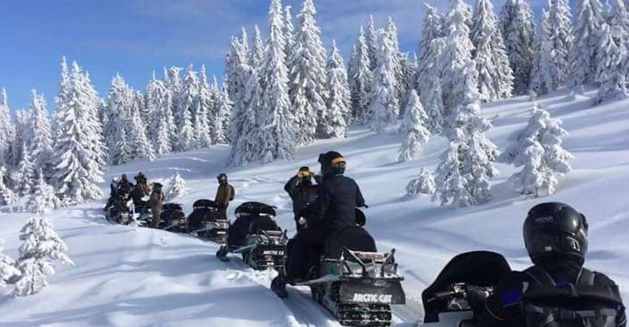 Bucharest: Carpathian Snowmobile / ATV Adventure Tour - Azuga snowmobile or ATV ride: the hands-on part you will remember