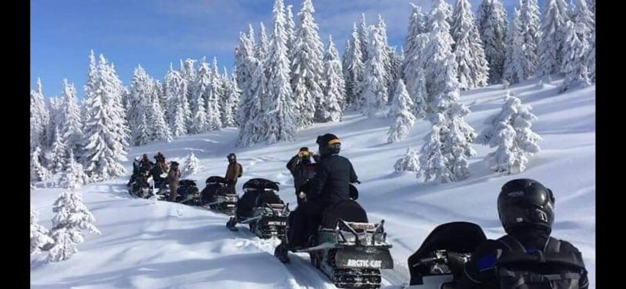 Bucharest: Carpathian Snowmobile / ATV Adventure Tour - The Sinaia food stop: dessert and regional flavors, but not free