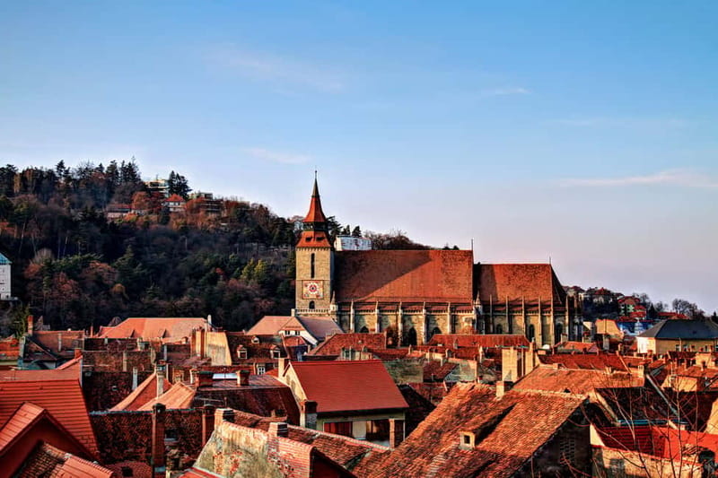 Bucharest: Day Trip to Bear Sanctuary, Bran Castle & Brasov - The Big Reason This Tour Works: Bears First, Dracula Later, Brasov in Between