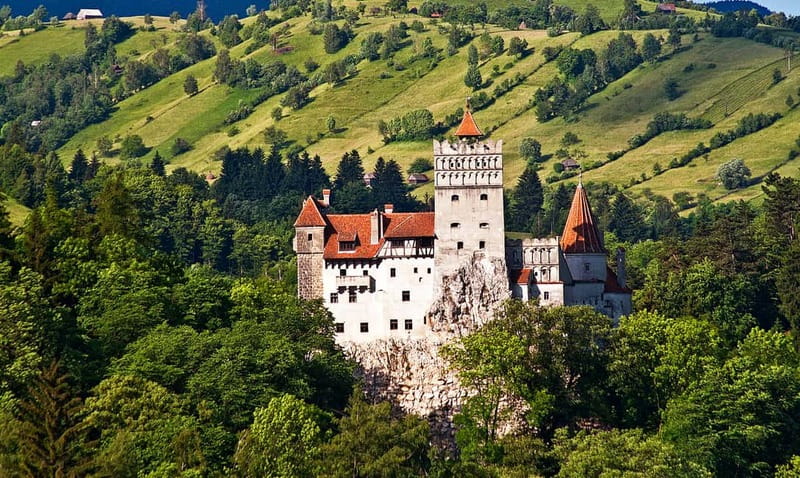 Bucharest: Day Trip to Bear Sanctuary, Bran Castle & Brasov - How the 12-Hour Format Feels From the Start in Bucharest