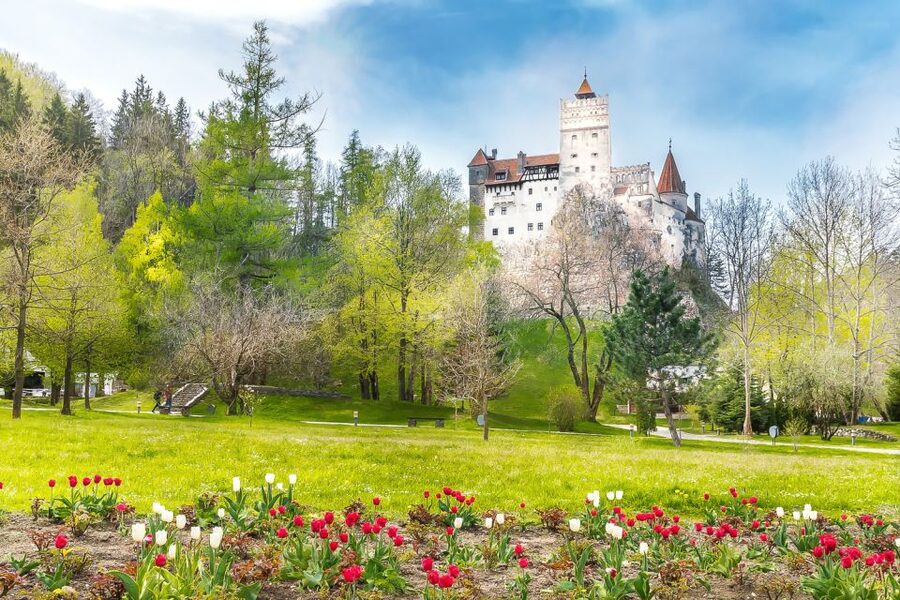 Bucharest: Day Trip to Dracula Castle, Peles Castle & Brașov - Who this tour suits best (and who may want a different plan)