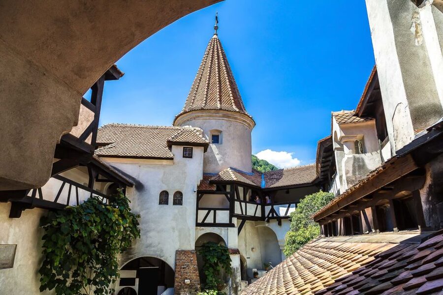 Bucharest: Day Trip to Dracula Castle, Peles Castle & Brașov - What kind of guide makes the day work