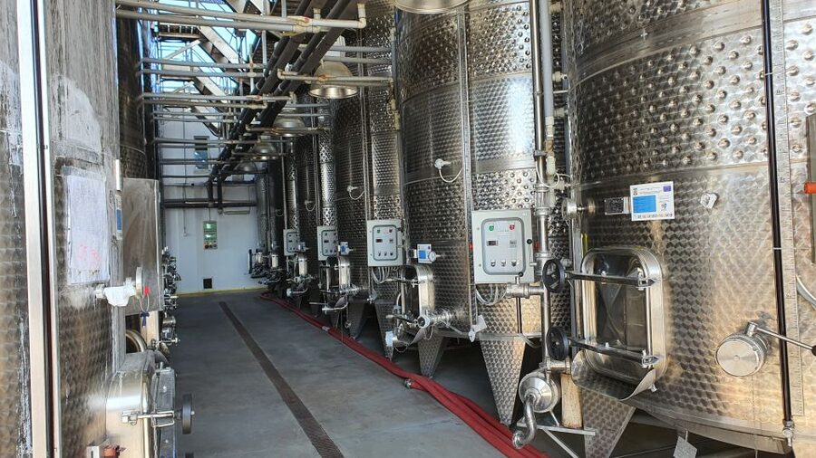 Bucharest: Dealu Mare Winery Private Trip with Wine Tasting - Price and value: is $210 per person fair for this private format?