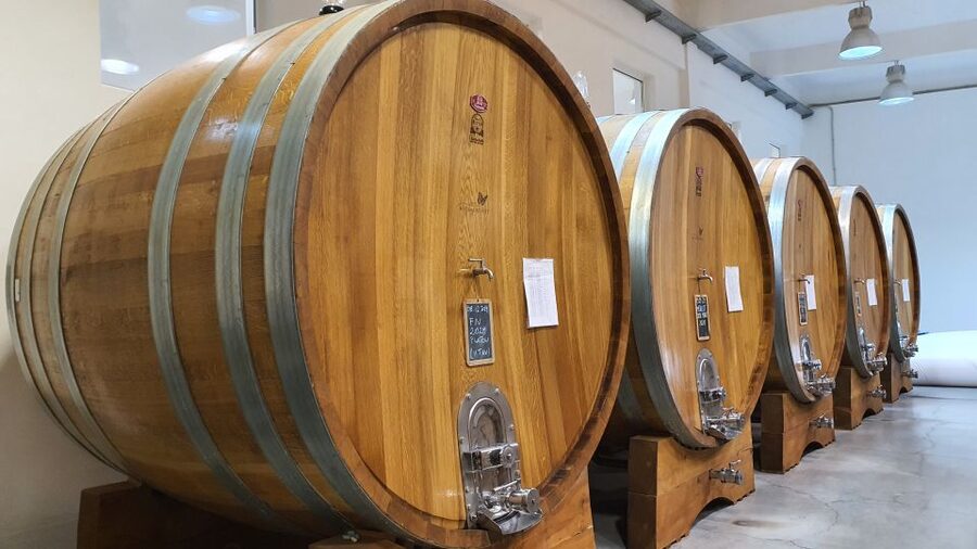 Bucharest: Dealu Mare Winery Private Trip with Wine Tasting - Who should book this Dealu Mare private wine trip