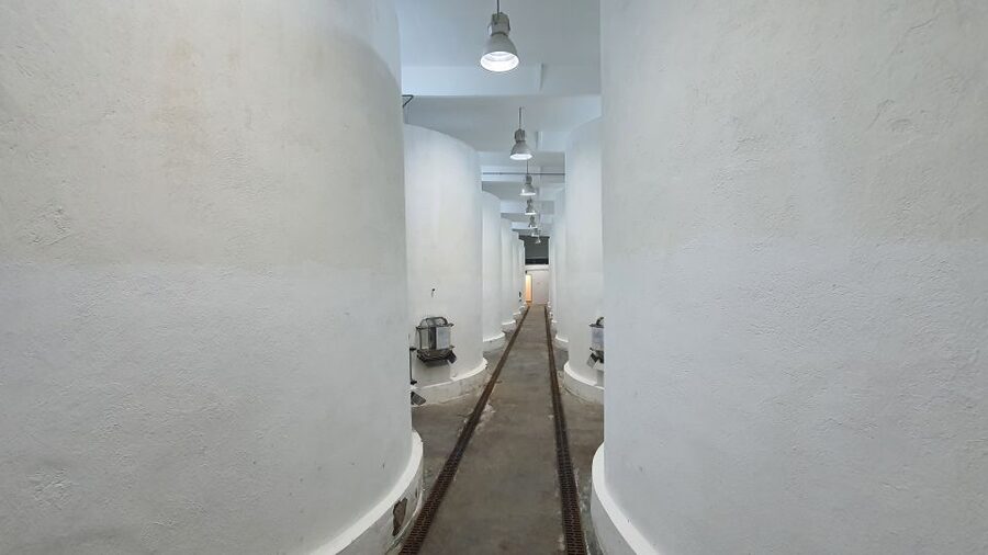 Bucharest: Dealu Mare Winery Private Trip with Wine Tasting - Should you book? My honest take