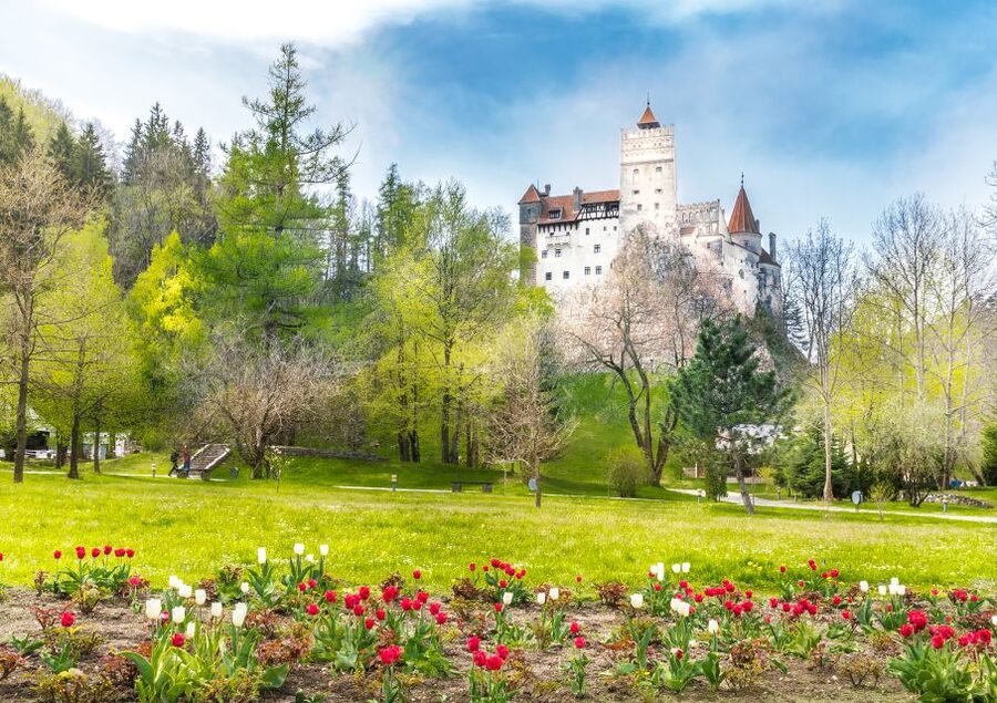 Bucharest: Dracula Castle, Peles Castle & Brasov Guided Tour - Peles Castle in Sinaia: Neo-Renaissance Royal Details and Mountain Views