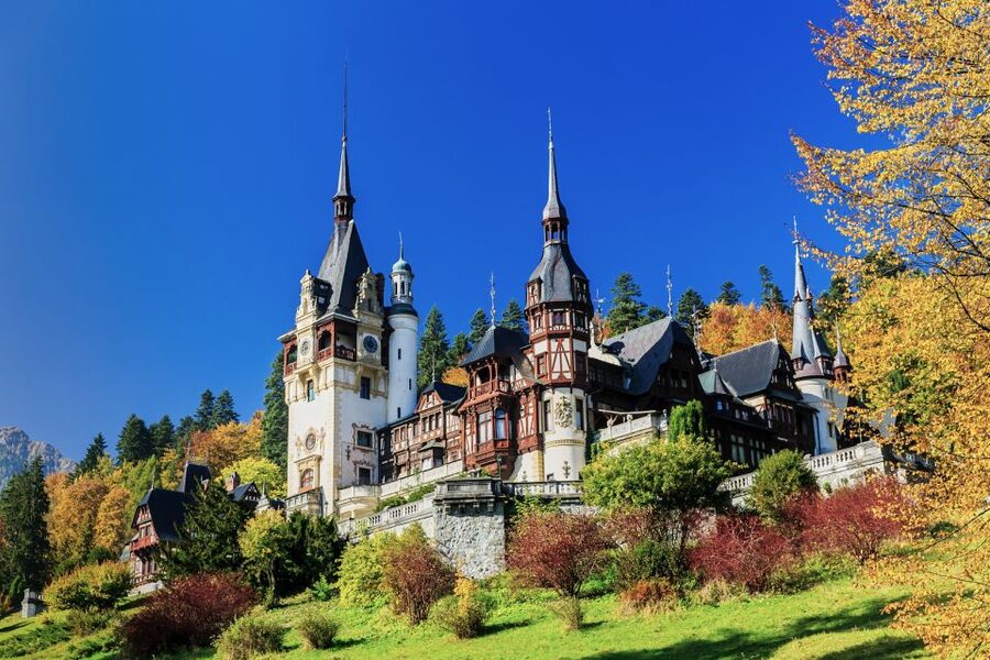 Bucharest: Dracula Castle, Peles Castle & Brasov Old Town - The Guides and Drivers: Why People Rate This So High